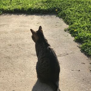 Meet your Posher, Ashby